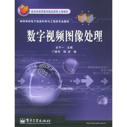 数字视频图像处理 北京市高等教育精品教材立项项目 高等学校电子信息科学与工程类专业教材