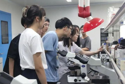 为何大学生不愿接受进工厂 教育的目的是提升能力,不是获得身份