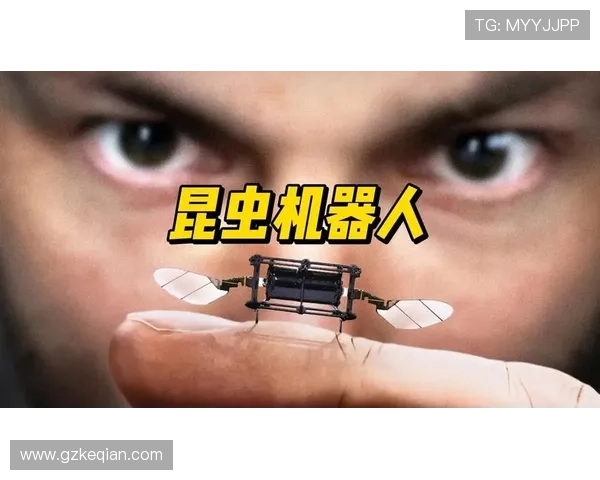 指尖的奇迹：探索“魔手”的无限可能